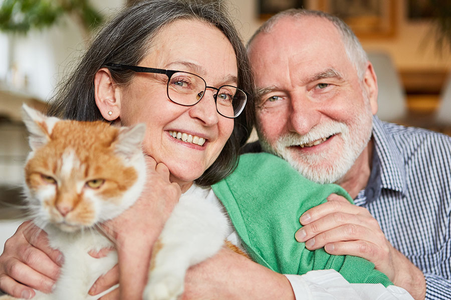 A happy senior couple holding their orange and white cat