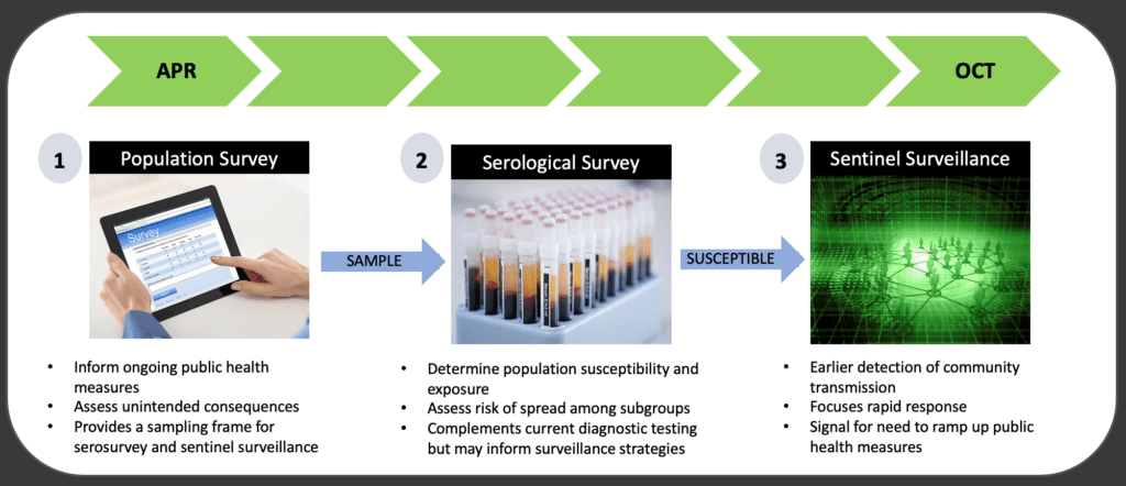 Timeline photograph showing three stages of research: population survey beginning in April, serology survey, and sentinel surveillance