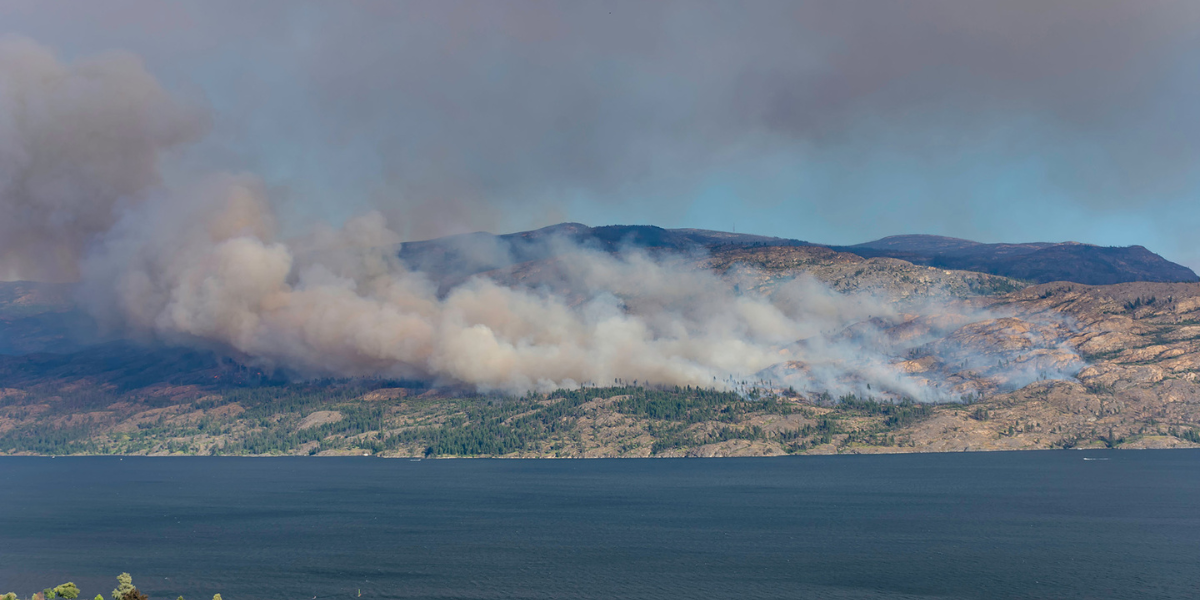 A wildfire in British Columbia